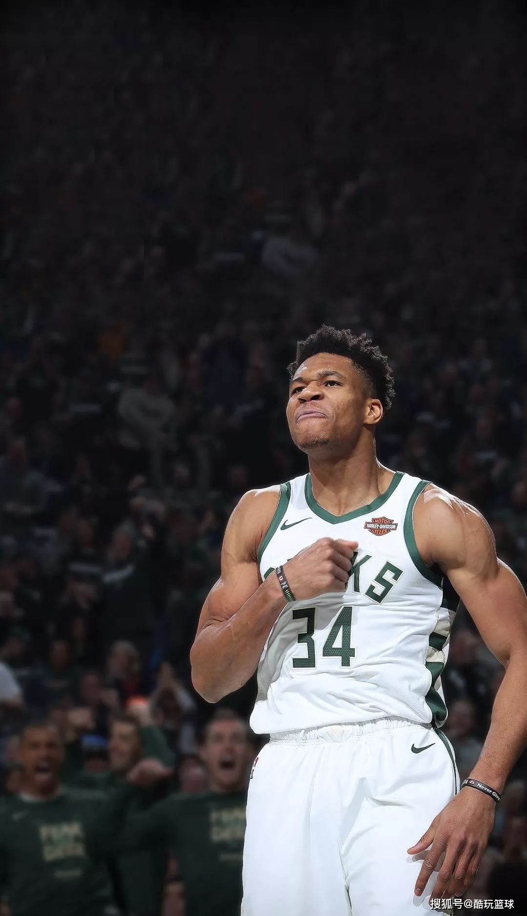 这一高权重 这一高权重