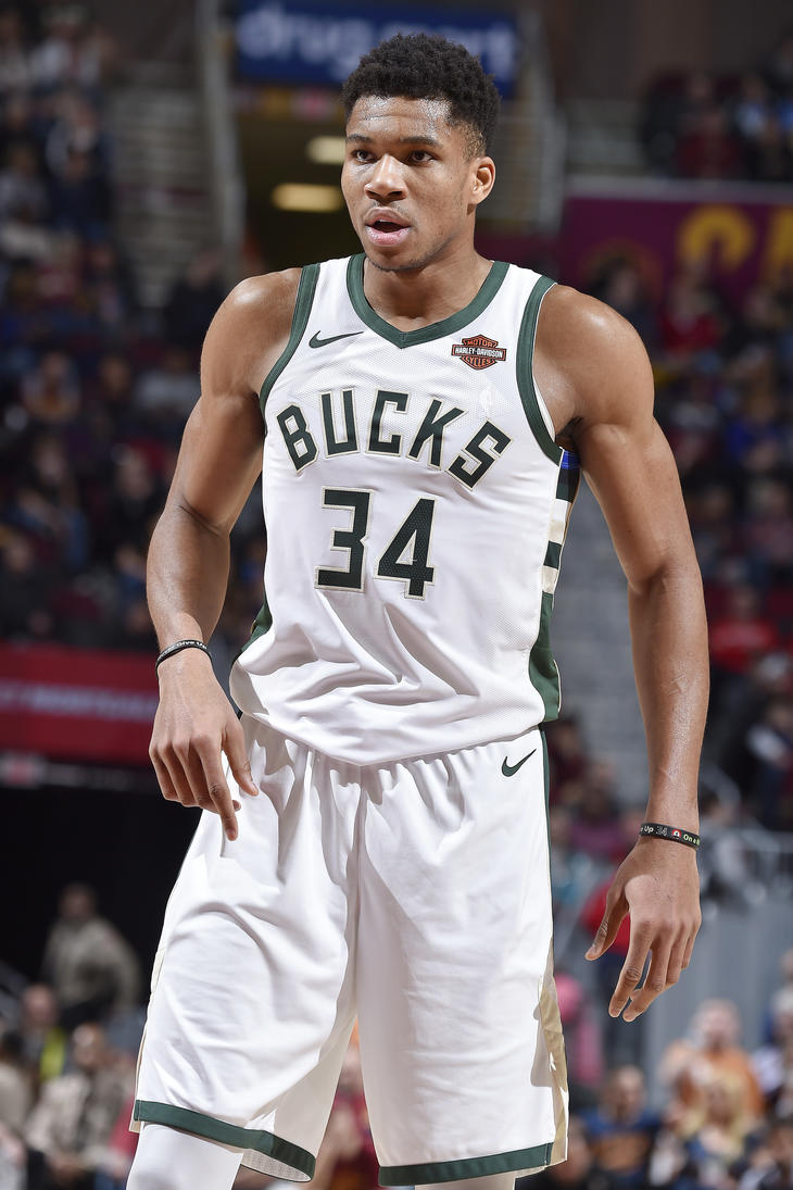 效率的鲜活 效率的鲜活